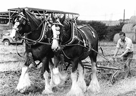 Photo: Illustrative image for the 'Ploughing Match' page