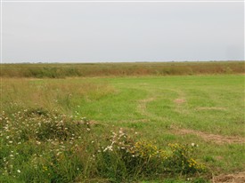 Photo: Illustrative image for the 'Arson on Wallasea Island' page