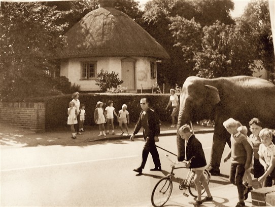 Photo:Circus comes to Rayleigh, 1963